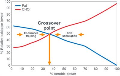 Low carbohydrate high fat ketogenic diets on the exercise crossover point and glucose homeostasis